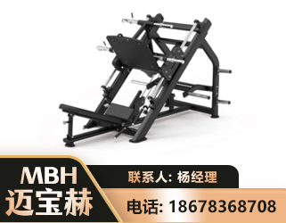 宜宾45°倒蹬训练器